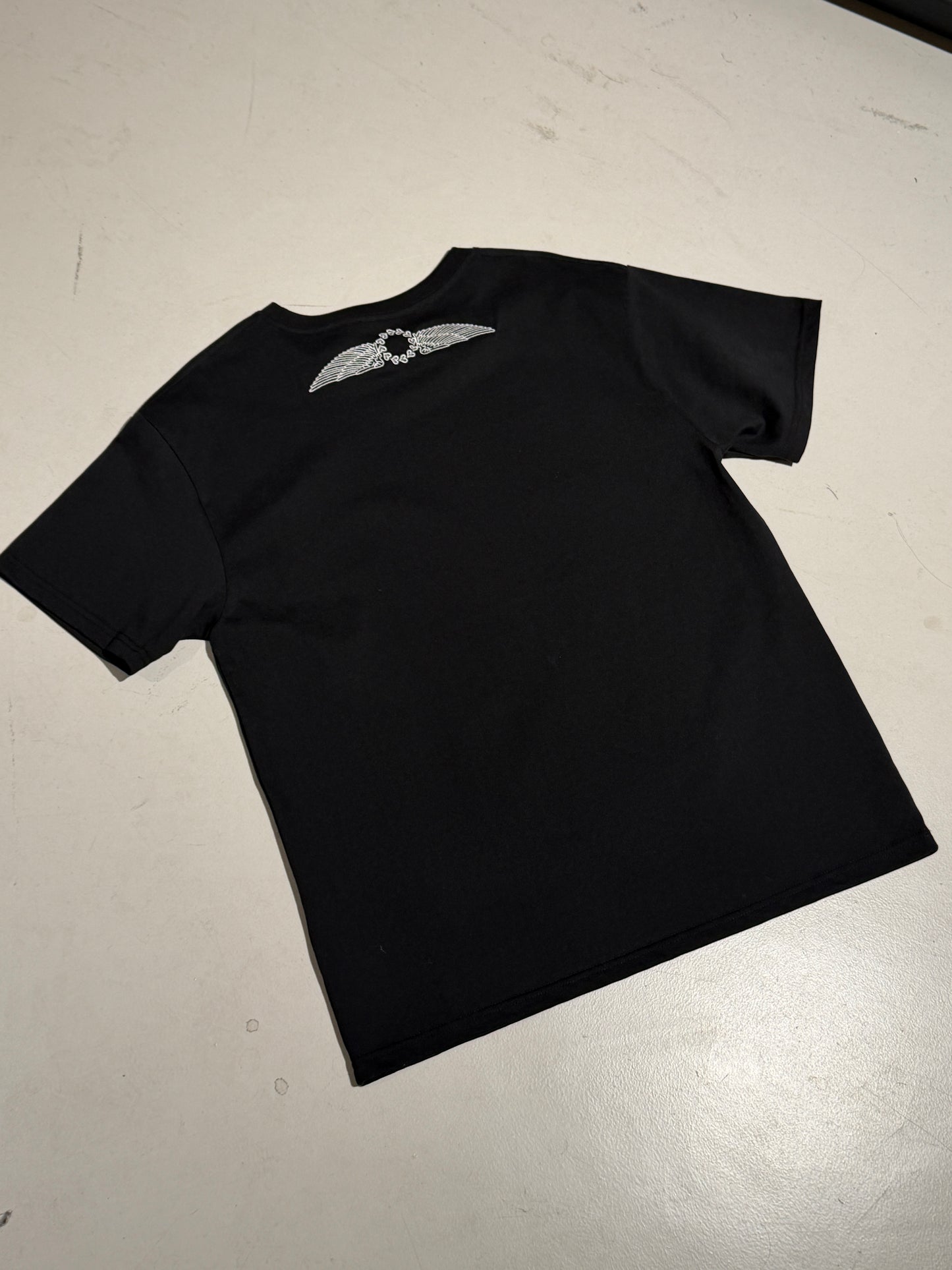 FS T-shirt